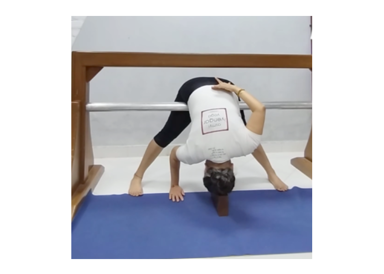 Prasarita Padottanasana
