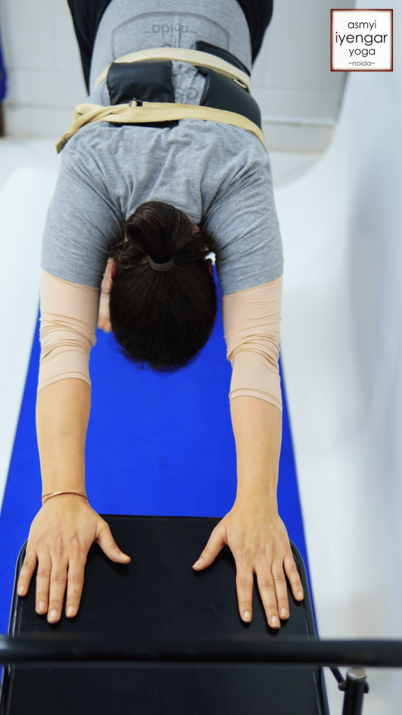 Iyengar Yoga Asana 1 1