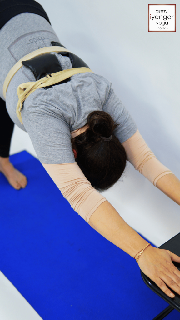 Iyengar Yoga Asana 2